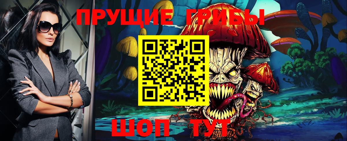 Галлюциногенные грибы Cubensis  Галлюциногенные грибы GOLDEN TEACHER  наркота  Курчалой  Вход с VPN 