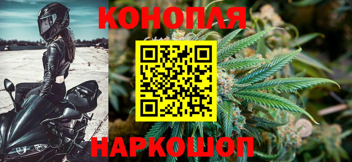 Конопля план Курчалой